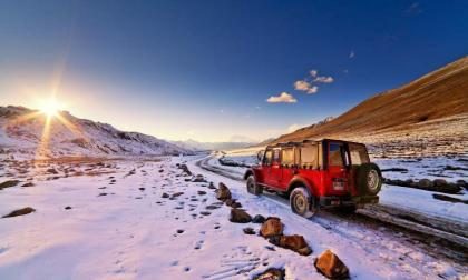 Safari tours