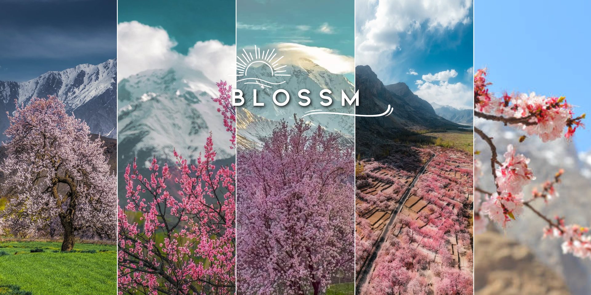 Hunza Nagar Blossom Tour