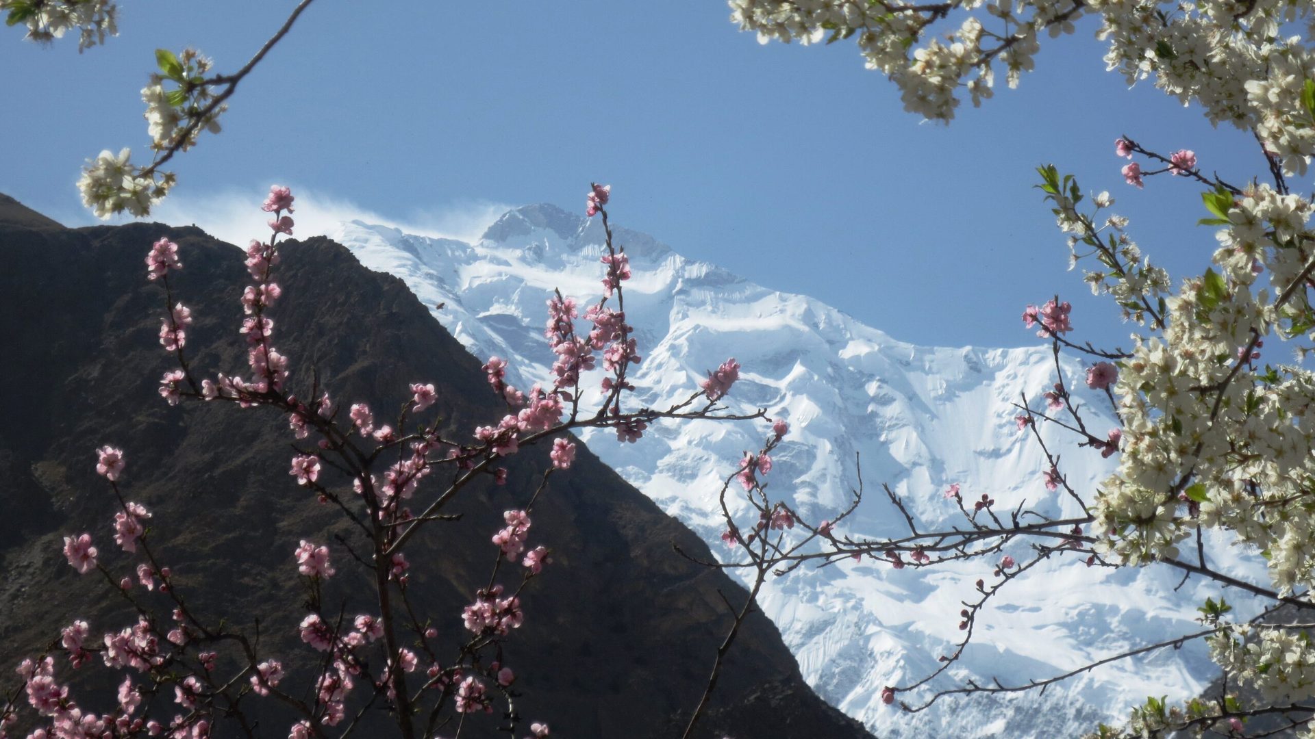 Rakaposhi Base Camp Trek
